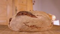 BROT1